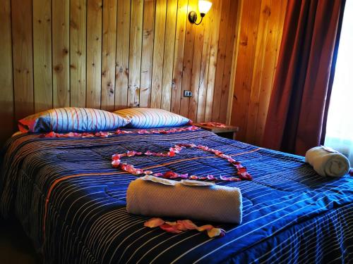 cabanas and hospedaje choshuenco