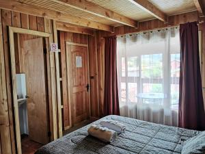 cabanas and hospedaje choshuenco
