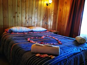 cabanas and hospedaje choshuenco