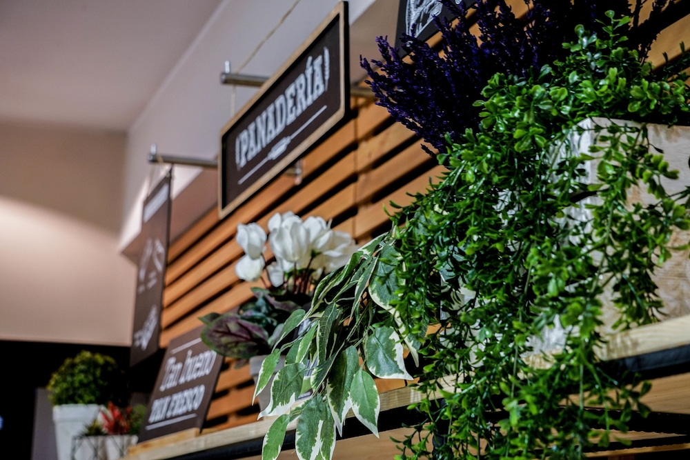 ibis girona costa brava