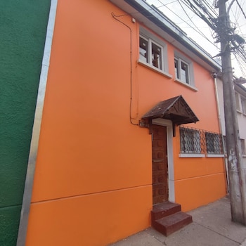 hotel gatos de campo tiernos y traviesos