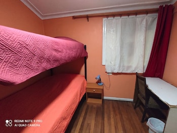 hotel gatos de campo tiernos y traviesos