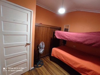 hotel gatos de campo tiernos y traviesos