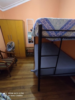 hotel gatos de campo tiernos y traviesos