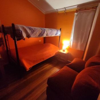 hotel gatos de campo tiernos y traviesos