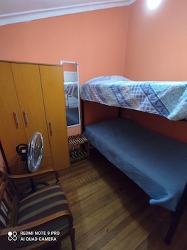 hotel gatos de campo tiernos y traviesos