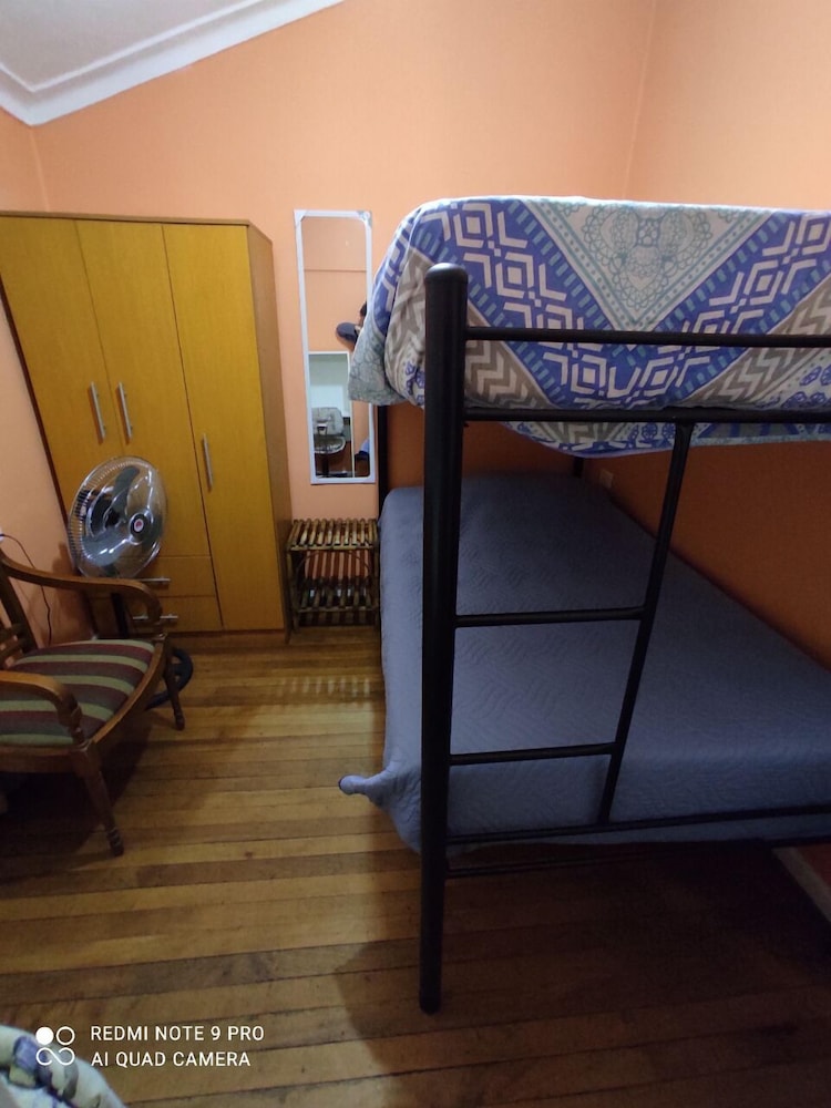 hotel gatos de campo tiernos y traviesos