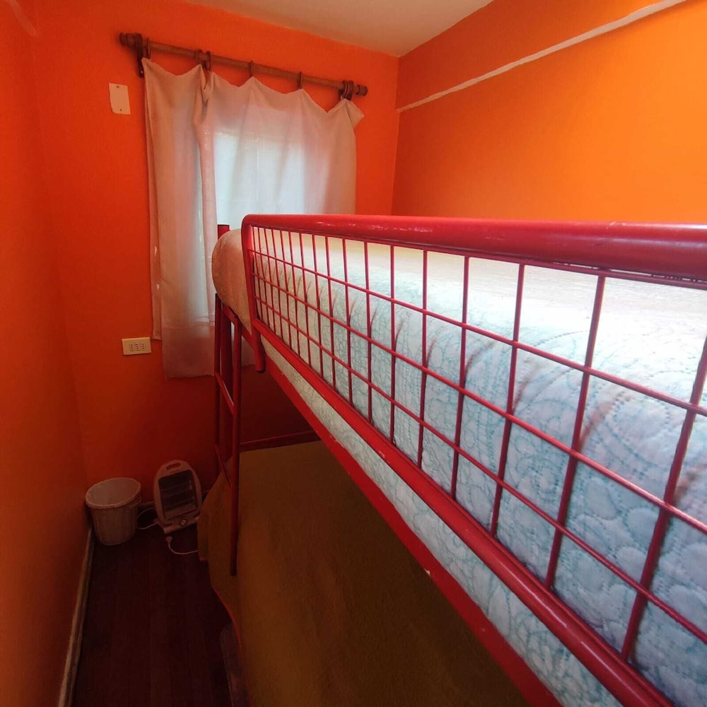 hotel gatos de campo tiernos y traviesos