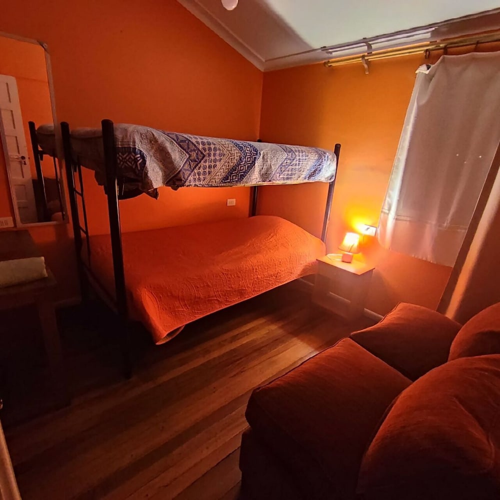 hotel gatos de campo tiernos y traviesos