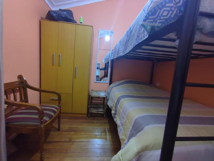 hotel gatos de campo tiernos y traviesos