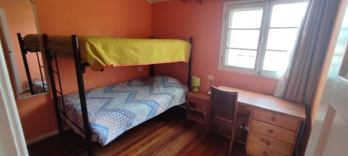 hotel gatos de campo tiernos y traviesos