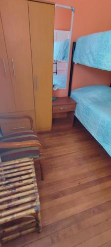 hotel gatos de campo tiernos y traviesos