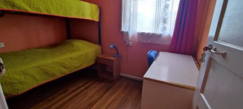 hotel gatos de campo tiernos y traviesos