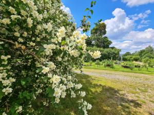 Risberg Herrgard,Lysvik>>Hagfors,3 star
