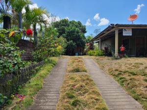 sophie house
