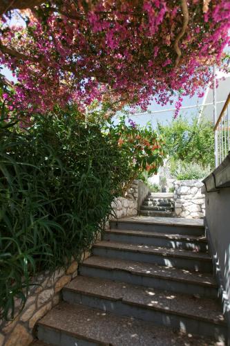 hvar