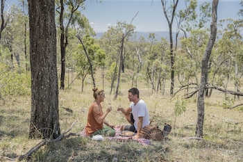 spicers hidden vale