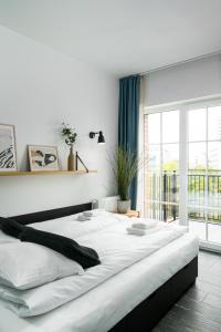 rentplanet apartamenty stare miasto