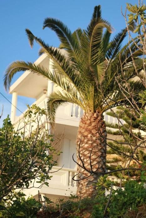 villa irini