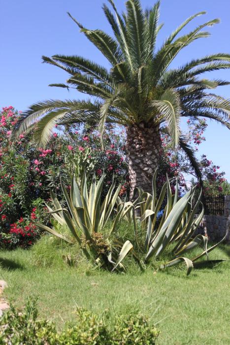 villa irini