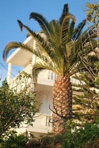 villa irini