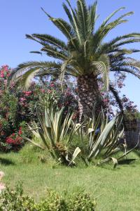 villa irini