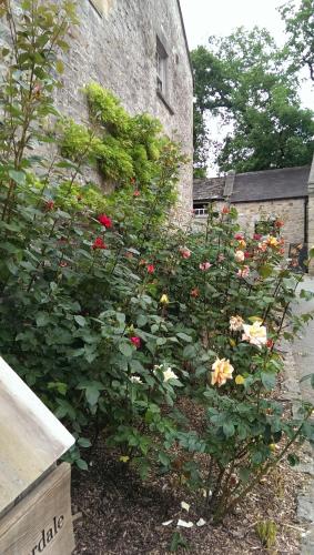 leyburn