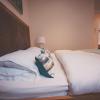 apartment b