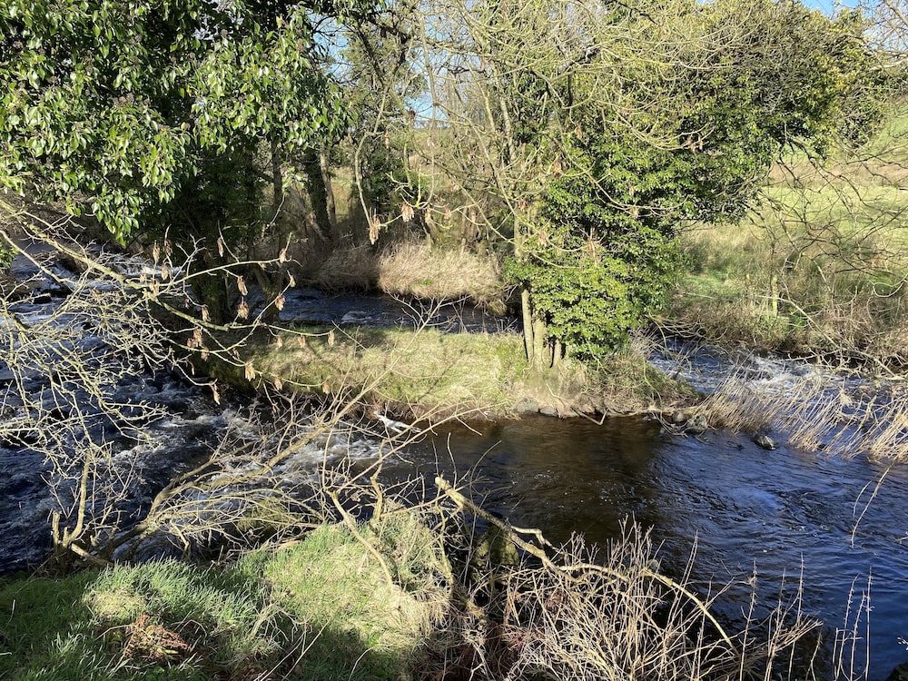 coleraine