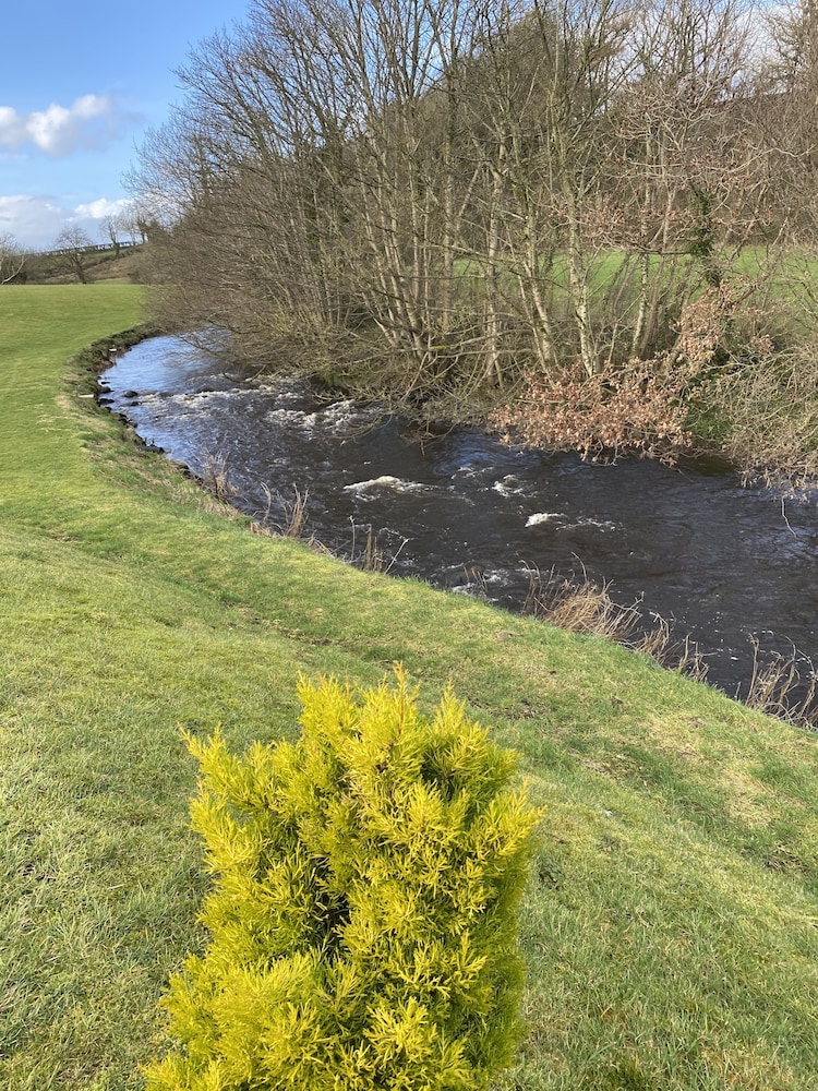 coleraine