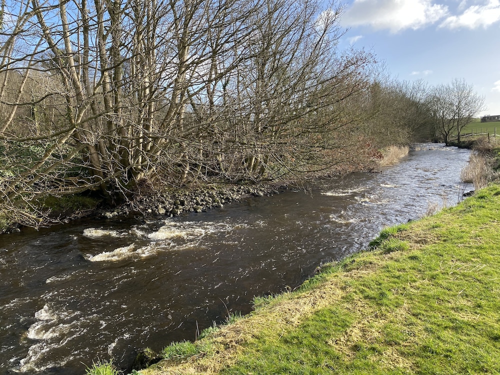 coleraine