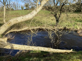 coleraine