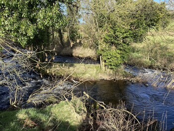coleraine