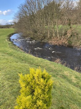 coleraine