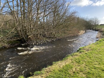 coleraine