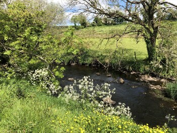 coleraine