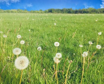 oxton hill hideaway shepherds hut