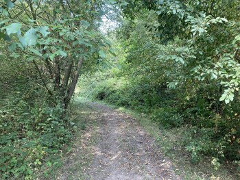 oxton hill hideaway shepherds hut