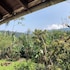 paraty