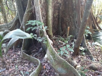 pousada restaurante portal do ceu