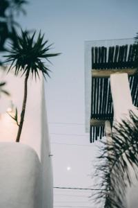 villa fulo casa hotel
