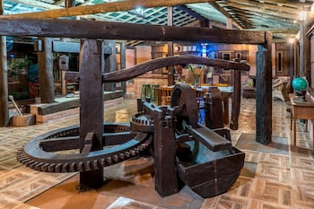 coracao da terra praia do rosa