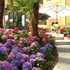 hotel villa sofia