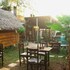 raiz kite cabana