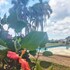 mairipora
