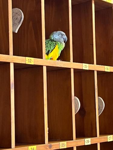 hotel la grange animal chic hotel