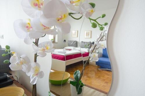 dunajska apartment