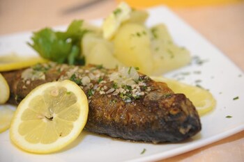 guesthouse stari mayr