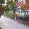 oraview pension