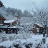 oraview pension